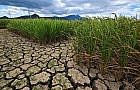 PAGASA says PH now approaching dry season