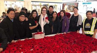 The Poppy Blanket Project