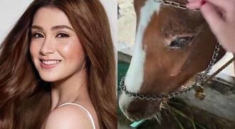 Celebrities appeal for animal rescue amid Taal eruption